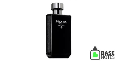 prada intense basenotes|Prada intense 2017.